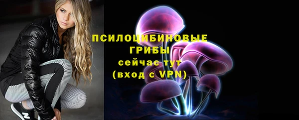 гашик Аркадак