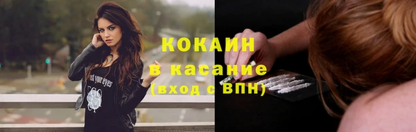 гашик Аркадак