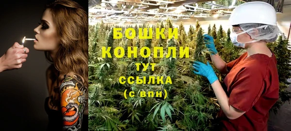 трава Арсеньев