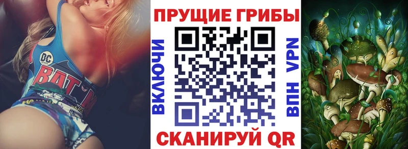 Галлюциногенные грибы Magic Shrooms  как найти наркотики  Буйнакск 